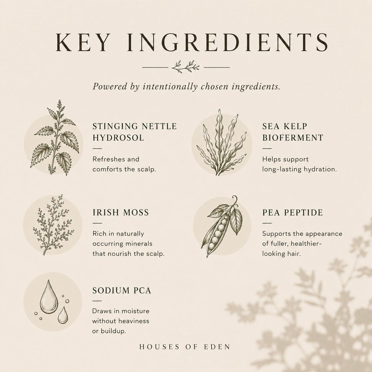 Root Milk
